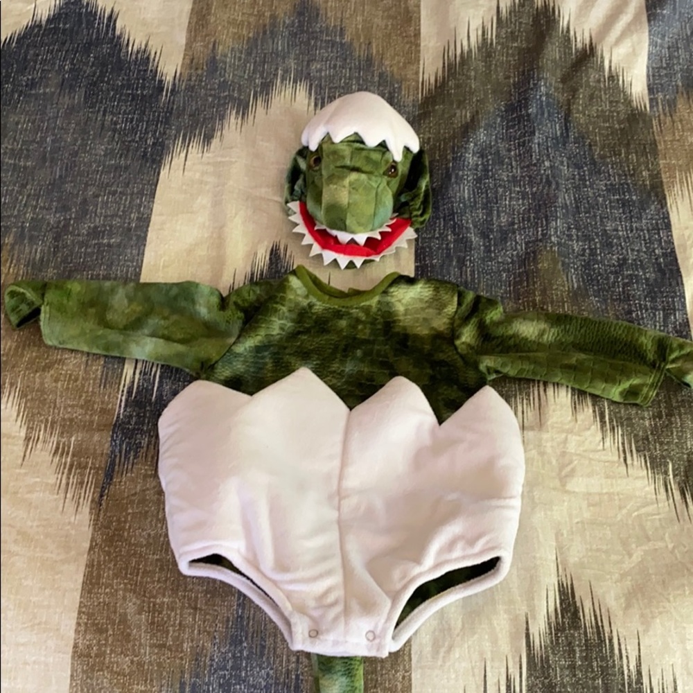 Pottery Barn Kids 12-24 months dinosaur costume